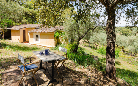 Back garden / terrace